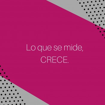 LA IMPORTANCIA DEL SEGUIMIENTO